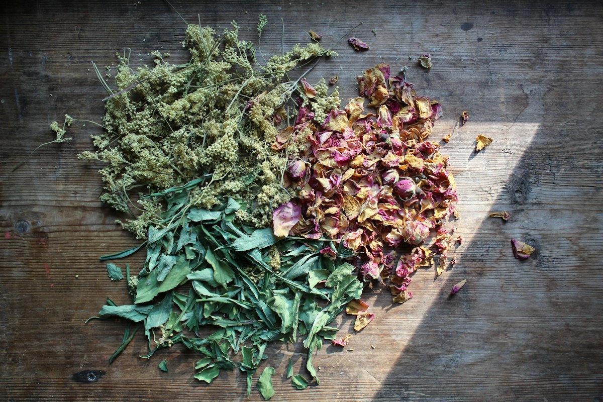 Nutrisi dan suplemen alami antiparasit